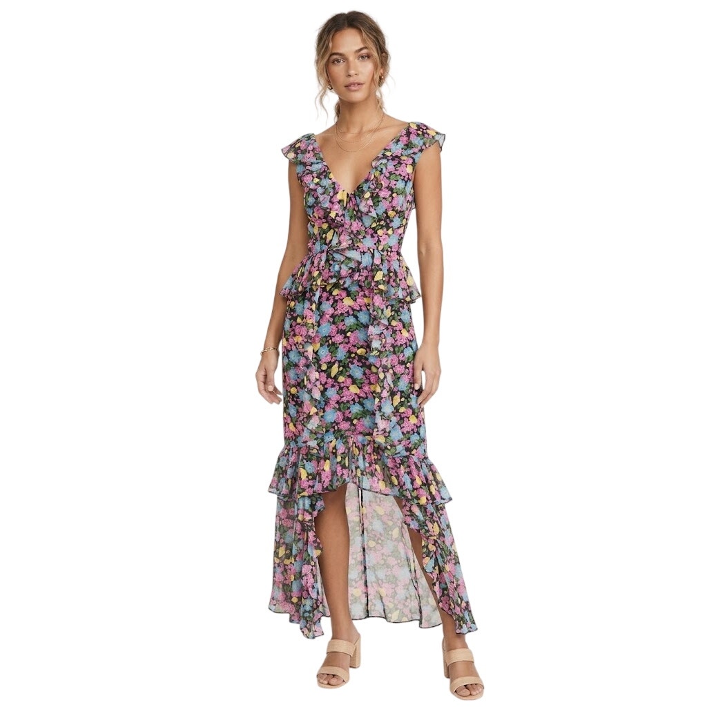 Amur Floral Evita Maxi Dress In Black Anemone Floral Size 12